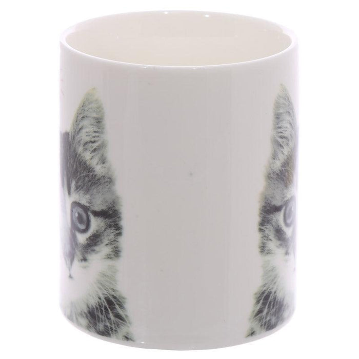 Novelty MEOW Kitten Porcelain Mug