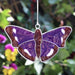 Purple Emperor Butterfly Suncatcher