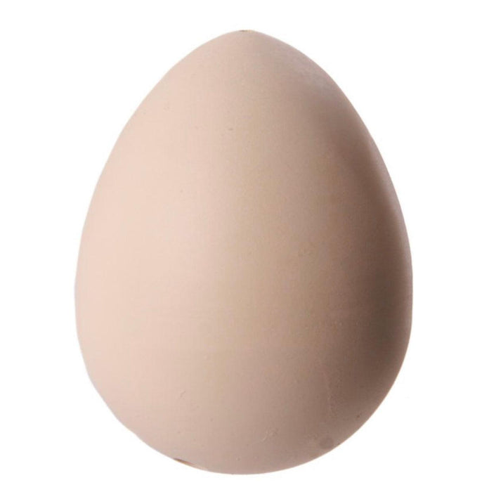 Hatching Chicken Egg Toy