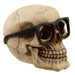 Skull Wearing Glasses Ornament