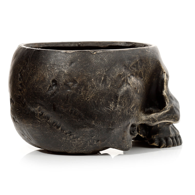 Skull Shaped Planter