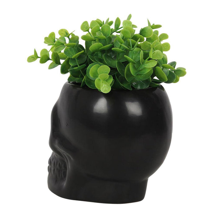 Black Skull Shaped Plant Pot
