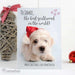 Personalised Rachael Hale Terrier Christmas Card - Myhappymoments.co.uk