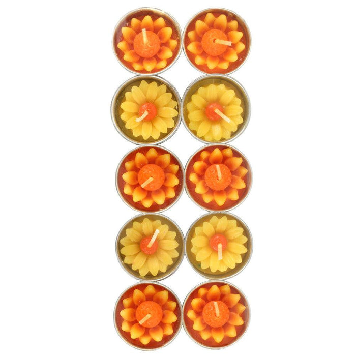 Box of 10 Daisy Candles with Coloured Centre